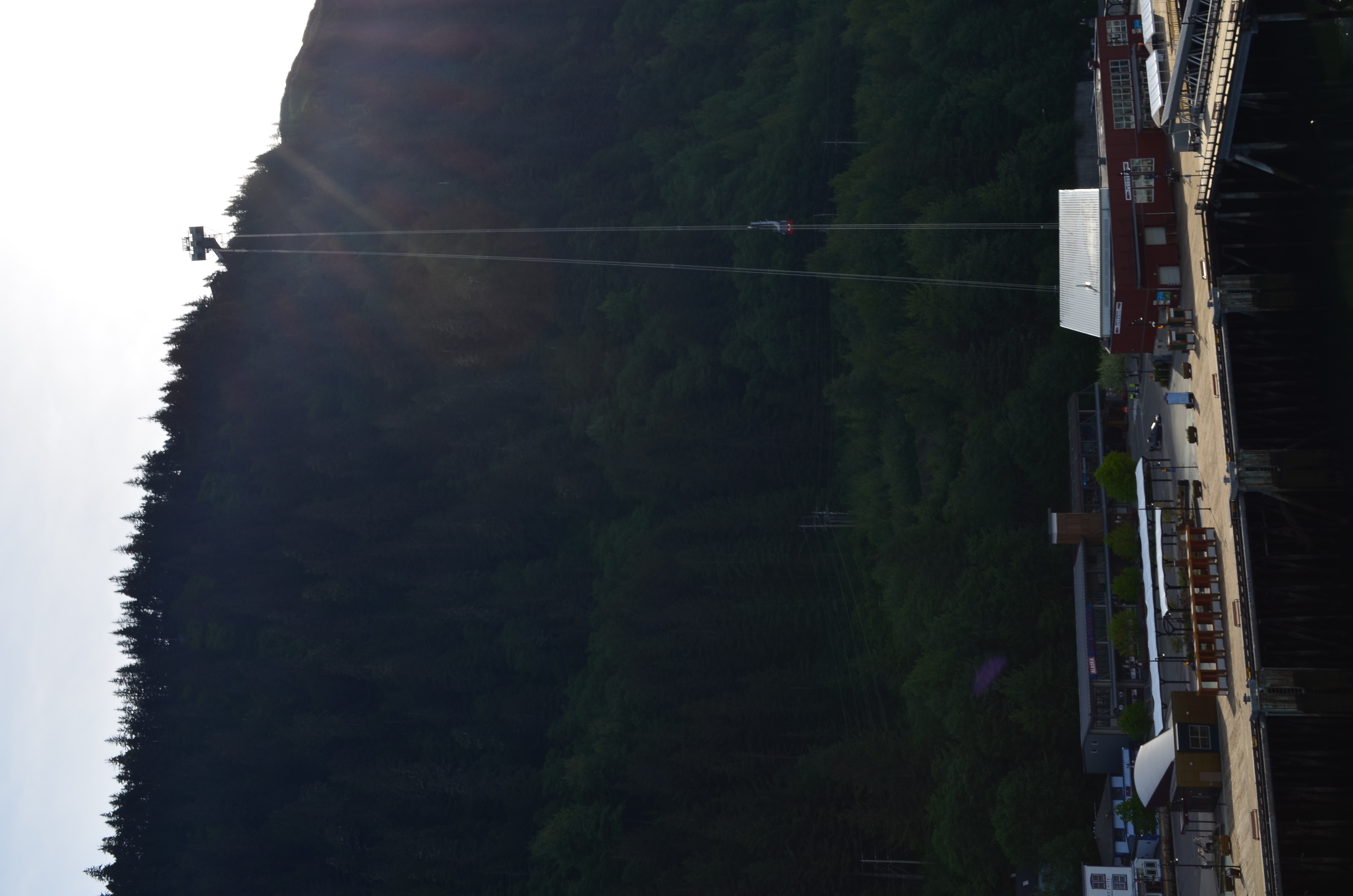 ./2017/08 - Alaska Cruise/08 - Juneau/DSC_0821.JPG